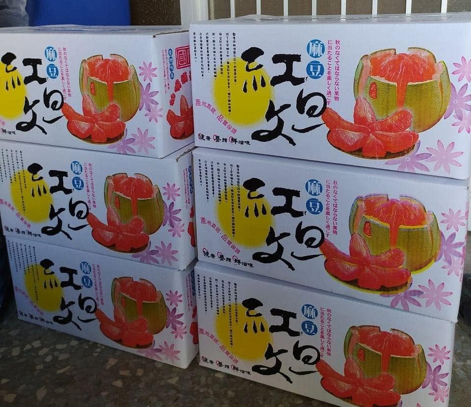 紅文旦禮盒 公司團購