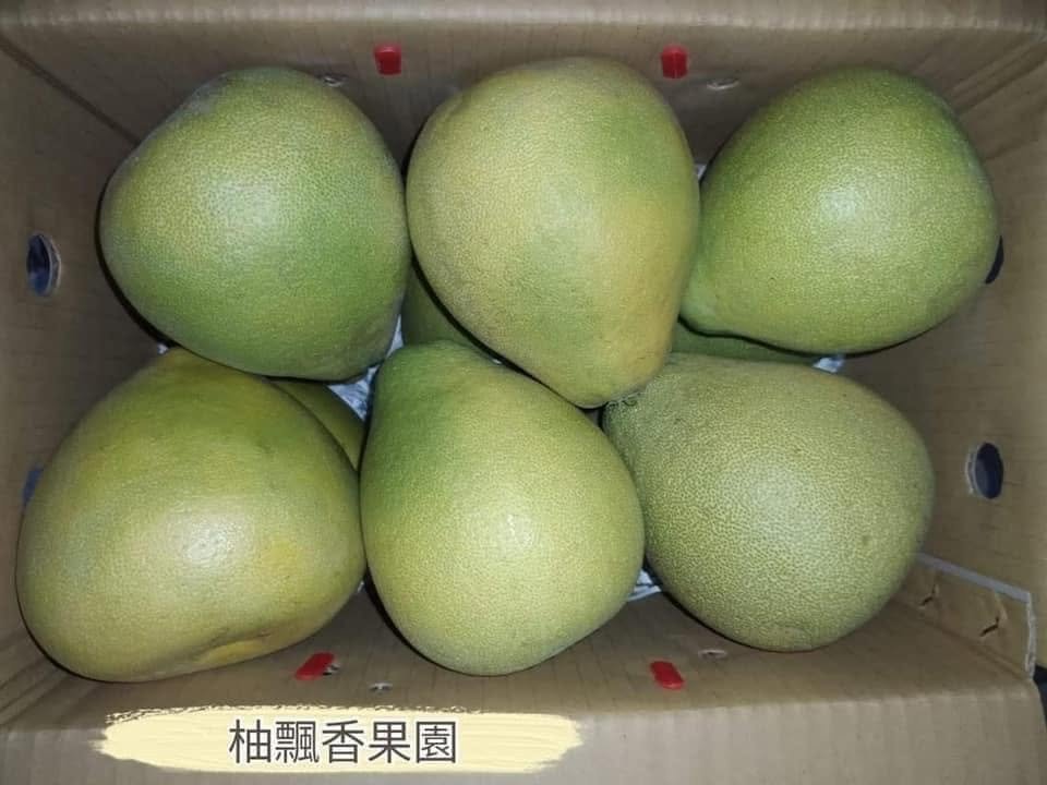柚飄香果園 採收後