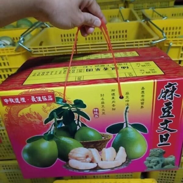 特級50年老欉麻豆文旦柚|10斤裝