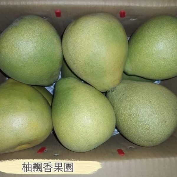 特級70年老欉麻豆文旦柚|10斤裝