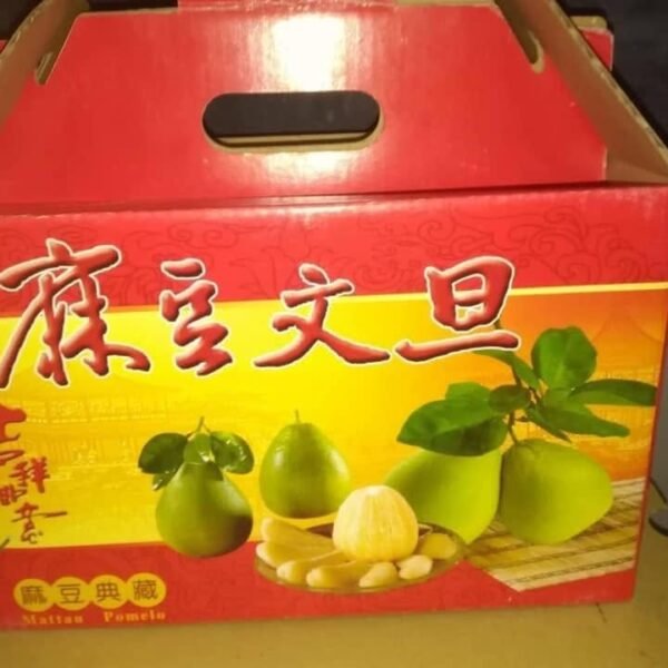 特級70年老欉麻豆文旦柚|5斤裝
